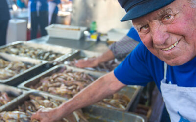 Pesce azzurro dell’Adriatico tra tradizione e specialità culinarie