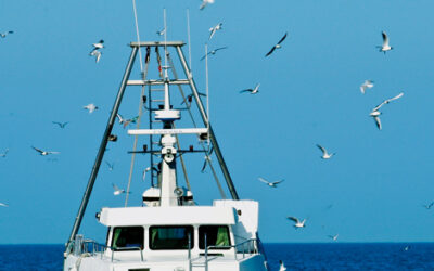 Pescaturismo: marinai per un giorno – attività sospesa per l’estate 2022