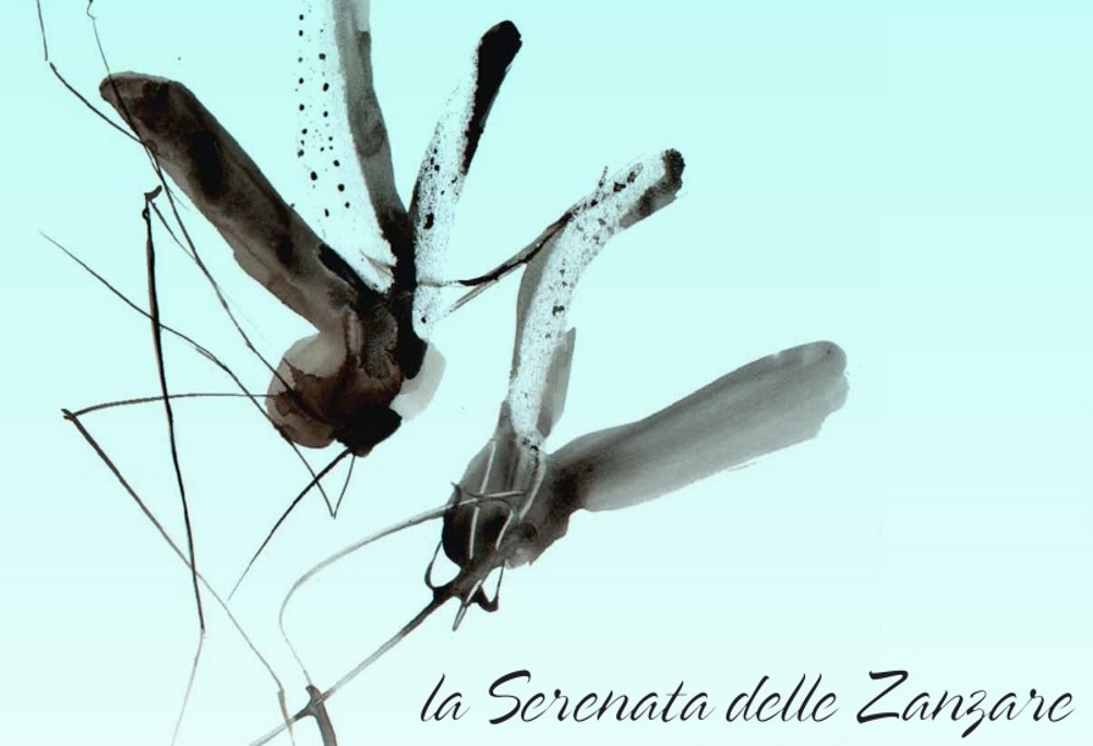 visit cesenatico - serenata delle zanare